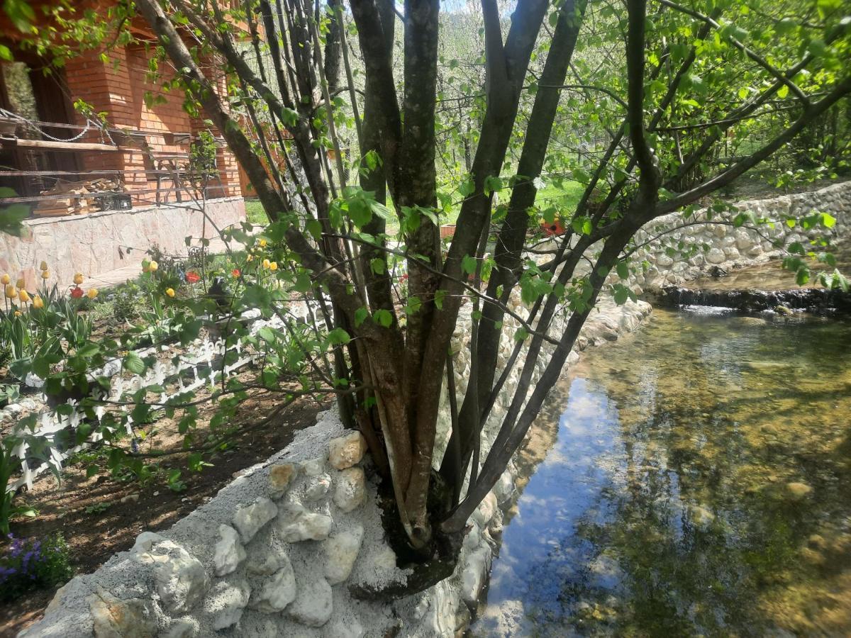 Live Nature Бихач Экстерьер фото