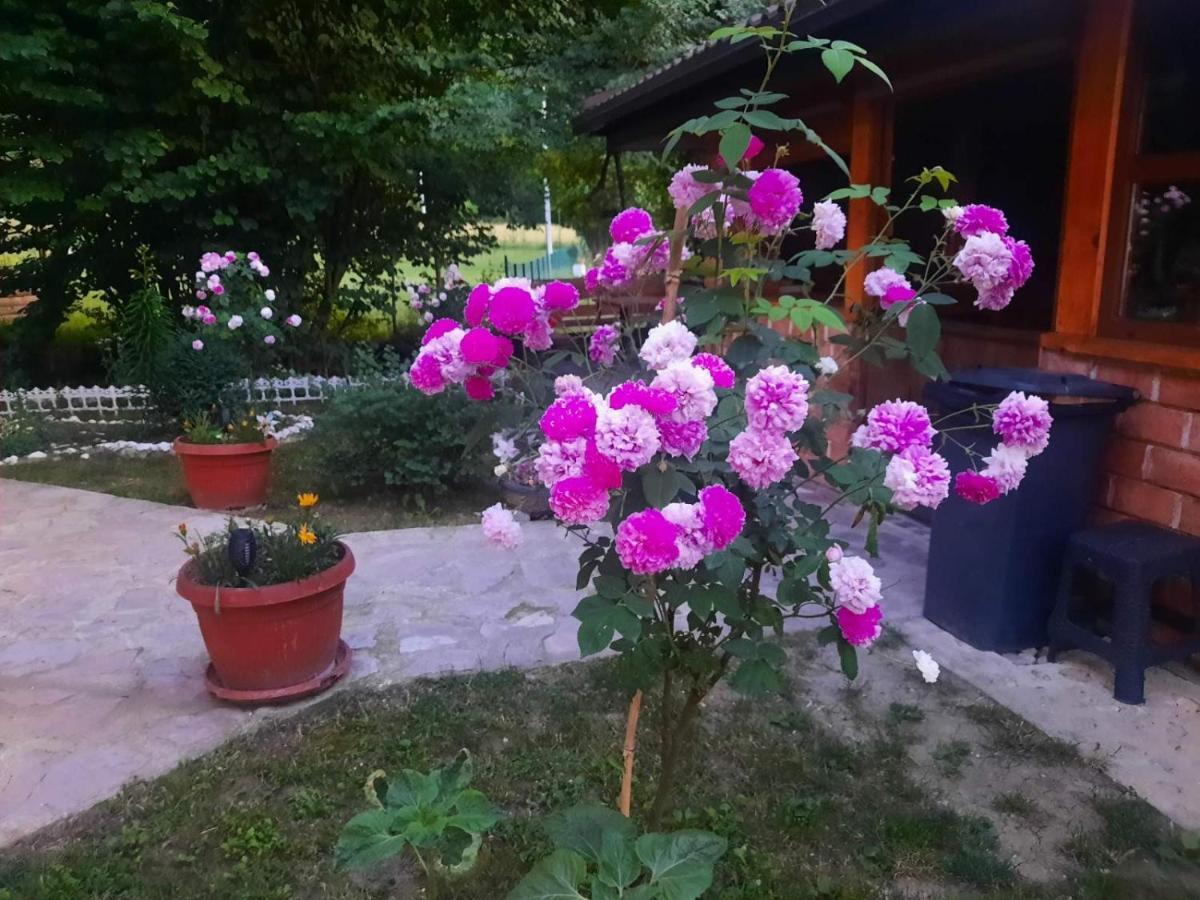 Live Nature Бихач Экстерьер фото